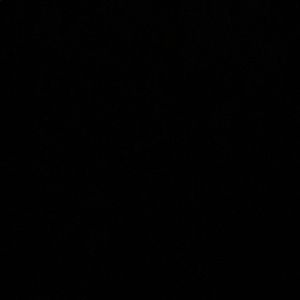 Meet your Posher, Ella